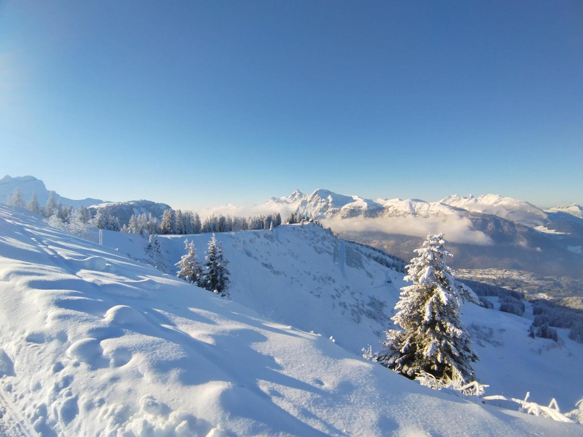 Chalet La Ferme D'Henriette, A サモエンヌ エクステリア 写真