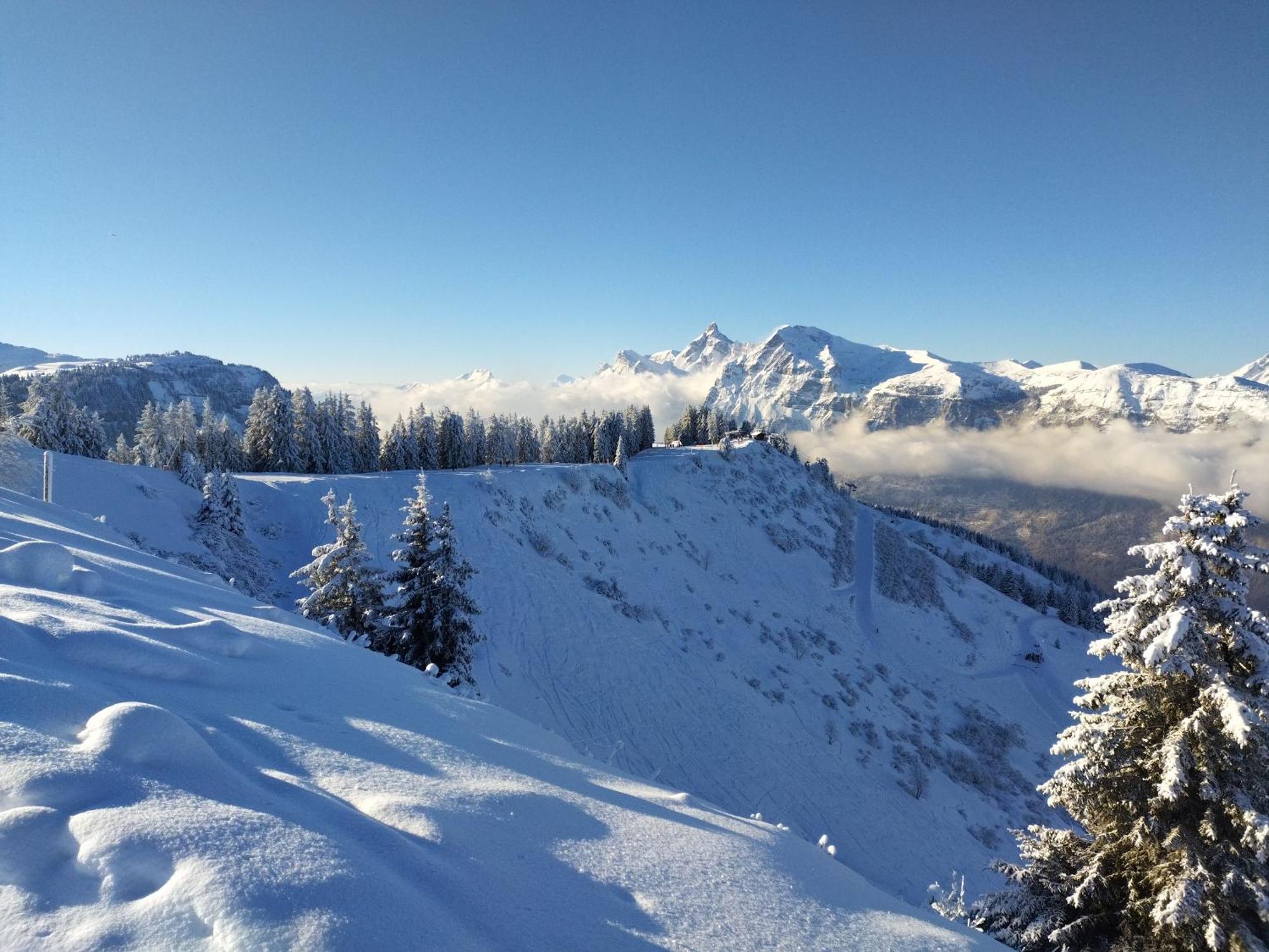 Chalet La Ferme D'Henriette, A サモエンヌ エクステリア 写真
